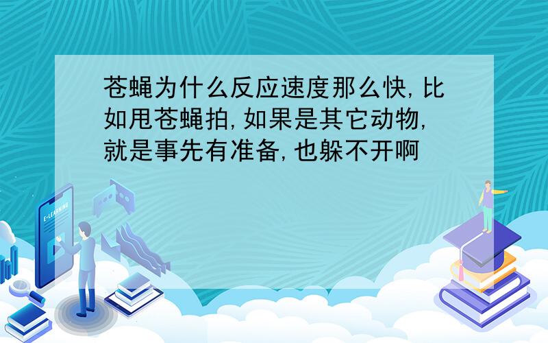 苍蝇为什么反应速度那么快,比如甩苍蝇拍,如果是其它动物,就是事先有准备,也躲不开啊