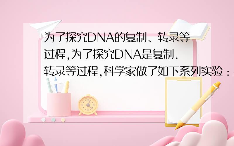 为了探究DNA的复制、转录等过程,为了探究DNA是复制.转录等过程,科学家做了如下系列实验：实验一：将大肠杆菌中提取出的DNA聚合酶加到具有足量的四种脱氧核苷酸的试管中.培养在适宜温度