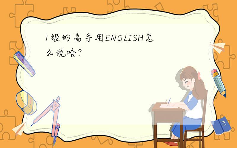 1级的高手用ENGLISH怎么说哈?