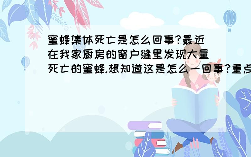 蜜蜂集体死亡是怎么回事?最近在我家厨房的窗户缝里发现大量死亡的蜜蜂.想知道这是怎么一回事?重点:1.我家基本上没有人,...当家人出去时..便会把家里所有窗户门关紧..形成一个封闭室...2.