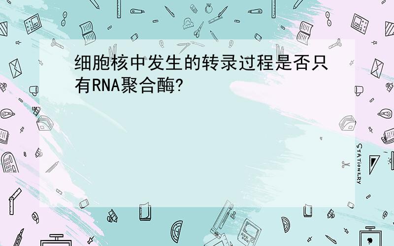 细胞核中发生的转录过程是否只有RNA聚合酶?