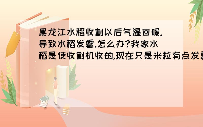 黑龙江水稻收割以后气温回暖.导致水稻发霉.怎么办?我家水稻是使收割机收的,现在只是米粒有点发霉.稻子没有.虽然现在天气冷了.但是我还是担心,怕发霉程度继续扩大化.烘干是好.可是费用