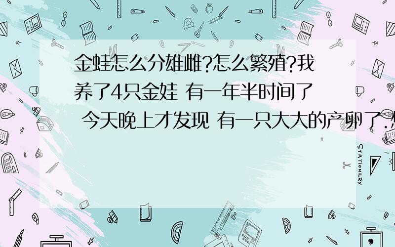 金蛙怎么分雄雌?怎么繁殖?我养了4只金娃 有一年半时间了 今天晚上才发现 有一只大大的产卵了.想问下 怎么区分公母 网上的 我已经看过好多了 最好是养过的 都说 公的比母的小好多 公的