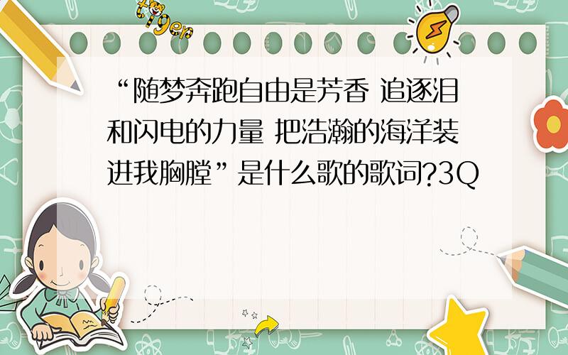 “随梦奔跑自由是芳香 追逐泪和闪电的力量 把浩瀚的海洋装进我胸膛”是什么歌的歌词?3Q