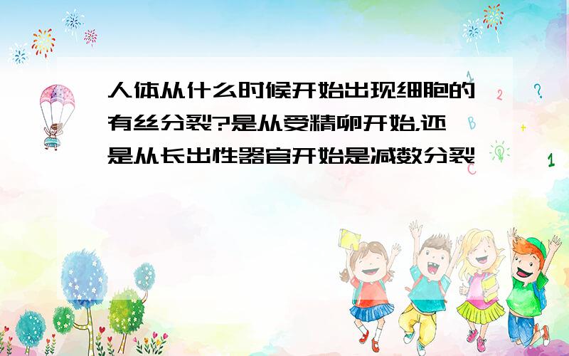 人体从什么时候开始出现细胞的有丝分裂?是从受精卵开始，还是从长出性器官开始是减数分裂