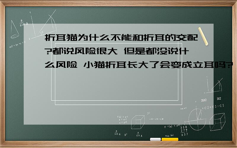 折耳猫为什么不能和折耳的交配?都说风险很大 但是都没说什么风险 小猫折耳长大了会变成立耳吗?