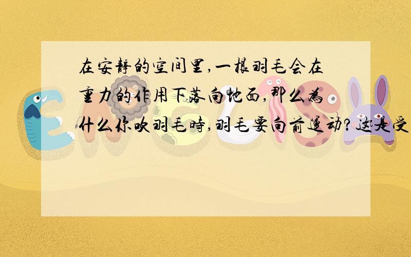 在安静的空间里,一根羽毛会在重力的作用下落向地面,那么为什么你吹羽毛时,羽毛要向前运动?这是受力的作用吗?有谁能给出详细地回答?