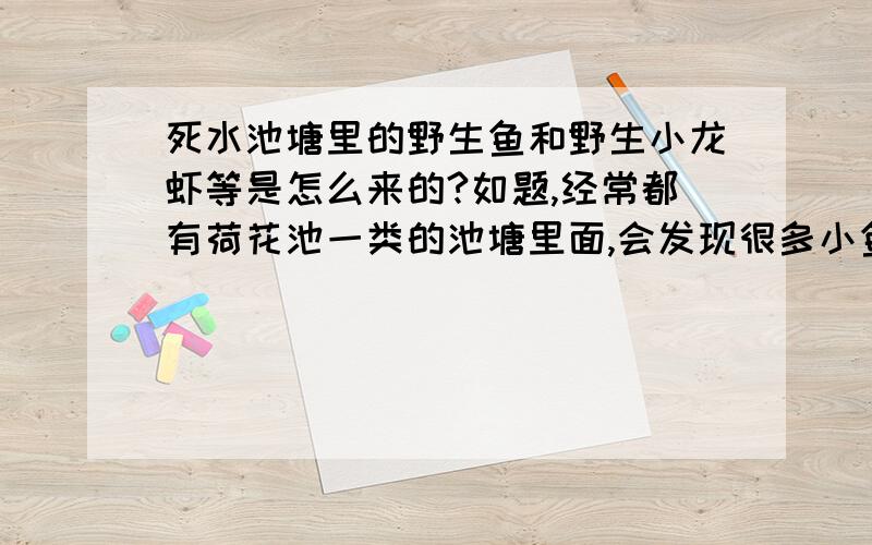 死水池塘里的野生鱼和野生小龙虾等是怎么来的?如题,经常都有荷花池一类的池塘里面,会发现很多小鱼苗,小龙虾甚至螃蟹等等小动物.这些绝对不会是人工放养的,而且池塘是死水,也不会从外