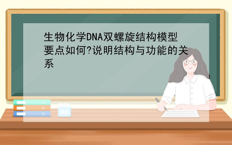 生物化学DNA双螺旋结构模型要点如何?说明结构与功能的关系