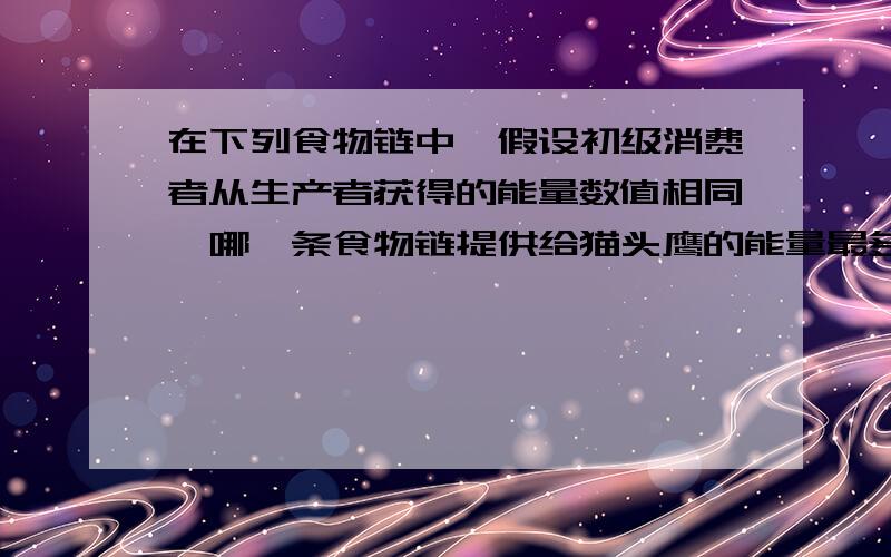 在下列食物链中,假设初级消费者从生产者获得的能量数值相同,哪一条食物链提供给猫头鹰的能量最多求答案