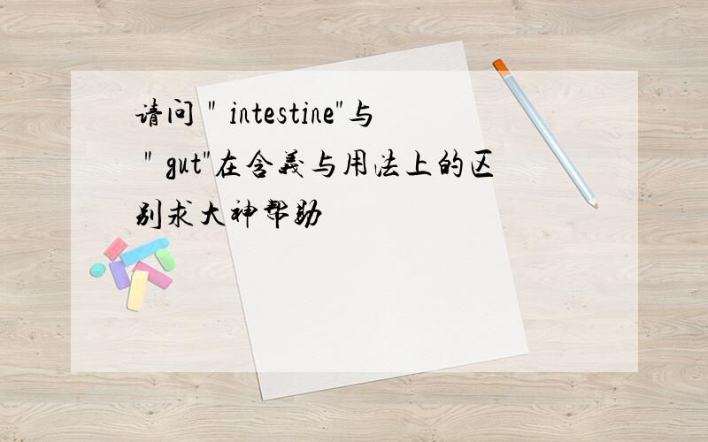 请问＂intestine