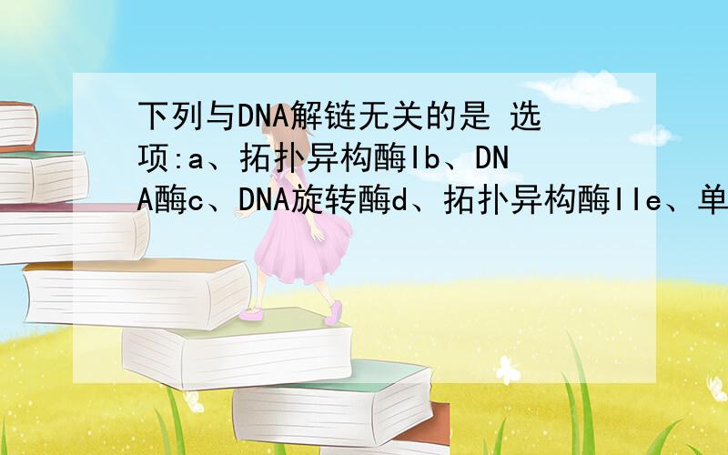 下列与DNA解链无关的是 选项:a、拓扑异构酶Ib、DNA酶c、DNA旋转酶d、拓扑异构酶IIe、单链DNA结合蛋白