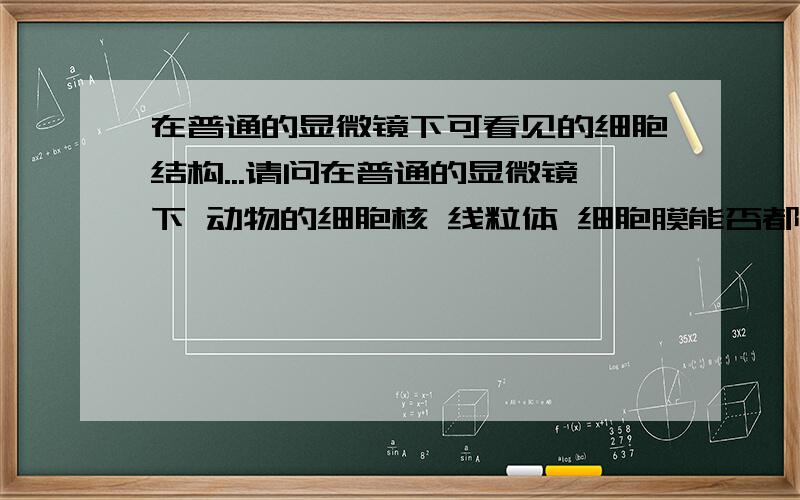 在普通的显微镜下可看见的细胞结构...请问在普通的显微镜下 动物的细胞核 线粒体 细胞膜能否都可以看见 而植物的细胞核 线粒体 细胞膜 细胞壁 液泡 叶绿体什么看得见 什么看不见?