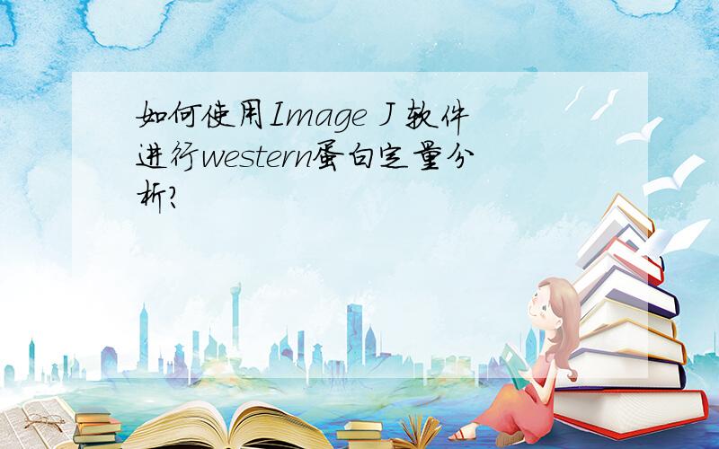 如何使用Image J 软件进行western蛋白定量分析?