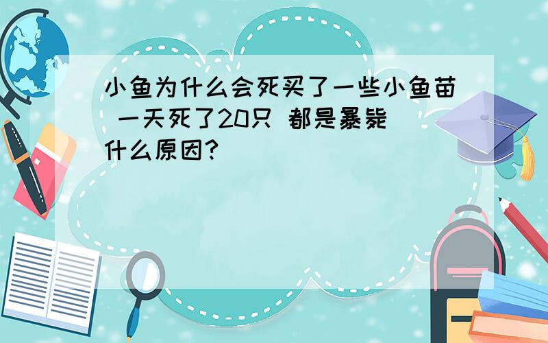 小鱼为什么会死买了一些小鱼苗 一天死了20只 都是暴毙 什么原因?