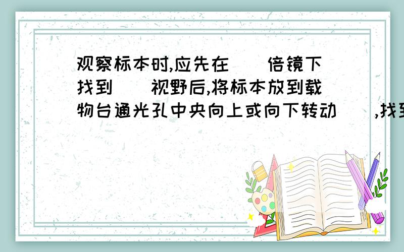 观察标本时,应先在（）倍镜下找到（）视野后,将标本放到载物台通光孔中央向上或向下转动（）,找到物像在转动（）,将物象调清晰.我填的依次是：低,明亮,粗准焦螺旋,细准焦螺旋,第二个