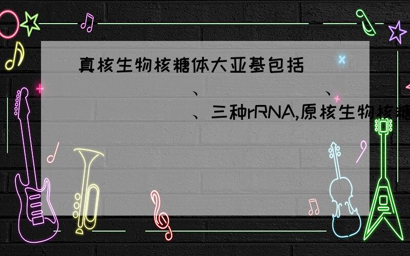 真核生物核糖体大亚基包括________、______、______、三种rRNA,原核生物核糖体转肽酶活性位于______rRNA