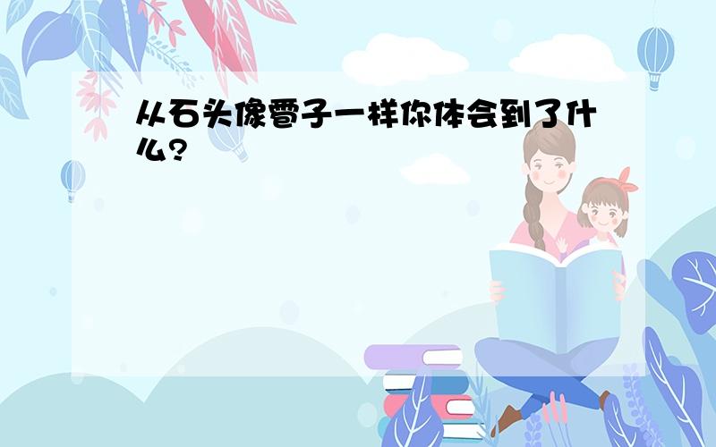 从石头像雹子一样你体会到了什么?