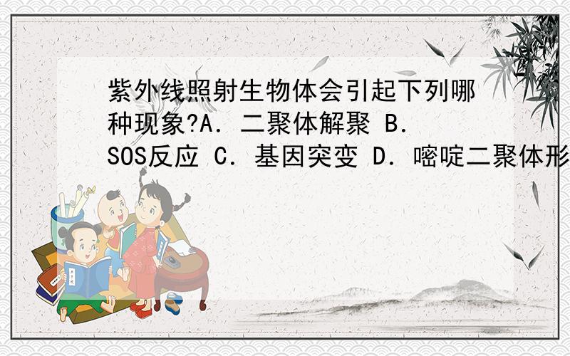 紫外线照射生物体会引起下列哪种现象?A．二聚体解聚 B．SOS反应 C．基因突变 D．嘧啶二聚体形成 给下详解