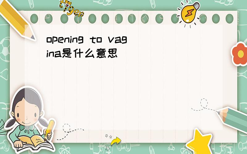 opening to vagina是什么意思