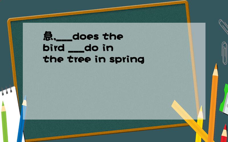 急,___does the bird ___do in the tree in spring