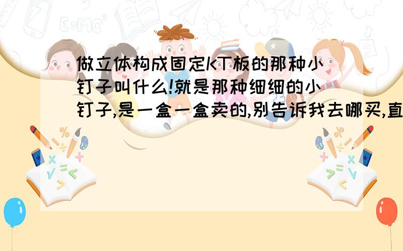 做立体构成固定KT板的那种小钉子叫什么!就是那种细细的小钉子,是一盒一盒卖的,别告诉我去哪买,直接告诉我淘宝要打什么才能搜到,我要大量,妈的搜了一个上午都没找到