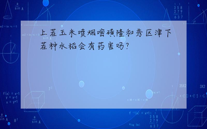 上茬玉米喷烟嘧磺隆和秀区津下茬种水稻会有药害吗?