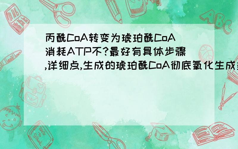 丙酰CoA转变为琥珀酰CoA消耗ATP不?最好有具体步骤,详细点,生成的琥珀酰CoA彻底氧化生成多少ATP?