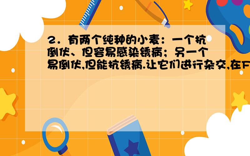 2．有两个纯种的小麦：一个抗倒伏、但容易感染锈病；另一个易倒伏,但能抗锈病.让它们进行杂交,在F2中可能出现既抗倒伏,又抗锈病的新类型,原因是（　　）A．F1雌雄配子之间的自由组合B