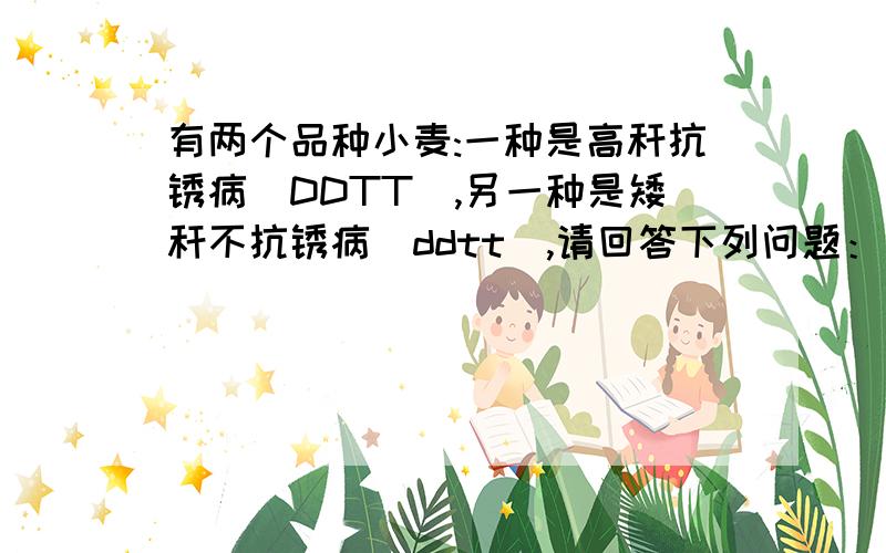 有两个品种小麦:一种是高秆抗锈病(DDTT),另一种是矮秆不抗锈病（ddtt）,请回答下列问题：（1）快速育种方有两个品种小麦:一种是高秆抗锈病(DDTT),另一种是矮秆不抗锈病（ddtt）,请回答下列