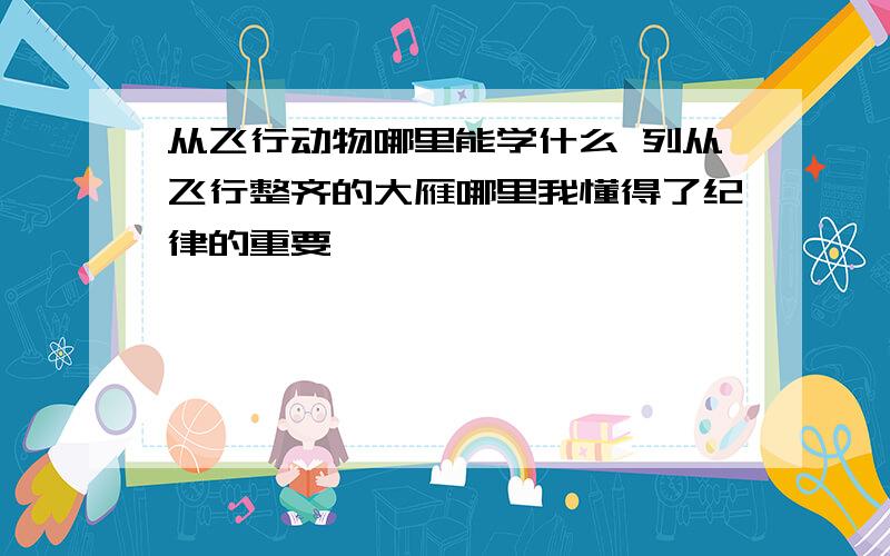 从飞行动物哪里能学什么 列从飞行整齐的大雁哪里我懂得了纪律的重要