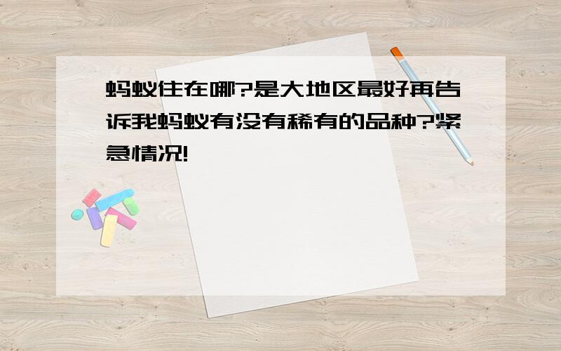 蚂蚁住在哪?是大地区最好再告诉我蚂蚁有没有稀有的品种?紧急情况!