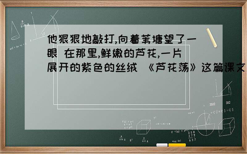 他狠狠地敲打,向着苇塘望了一眼 在那里,鲜嫩的芦花,一片展开的紫色的丝绒 《芦花荡》这篇课文里面的这句话有用比喻手法吗?