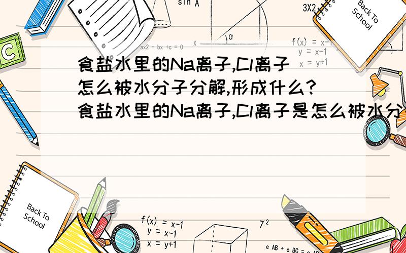 食盐水里的Na离子,Cl离子怎么被水分子分解,形成什么?食盐水里的Na离子,Cl离子是怎么被水分子分解,形成什么?具体介绍一下这个过程.