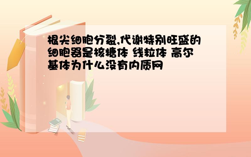 根尖细胞分裂,代谢特别旺盛的细胞器是核糖体 线粒体 高尔基体为什么没有内质网