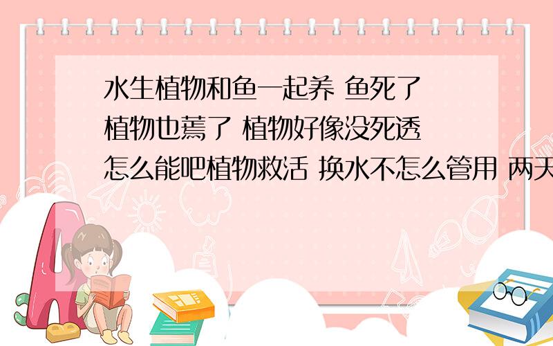 水生植物和鱼一起养 鱼死了 植物也蔫了 植物好像没死透 怎么能吧植物救活 换水不怎么管用 两天了 还那样