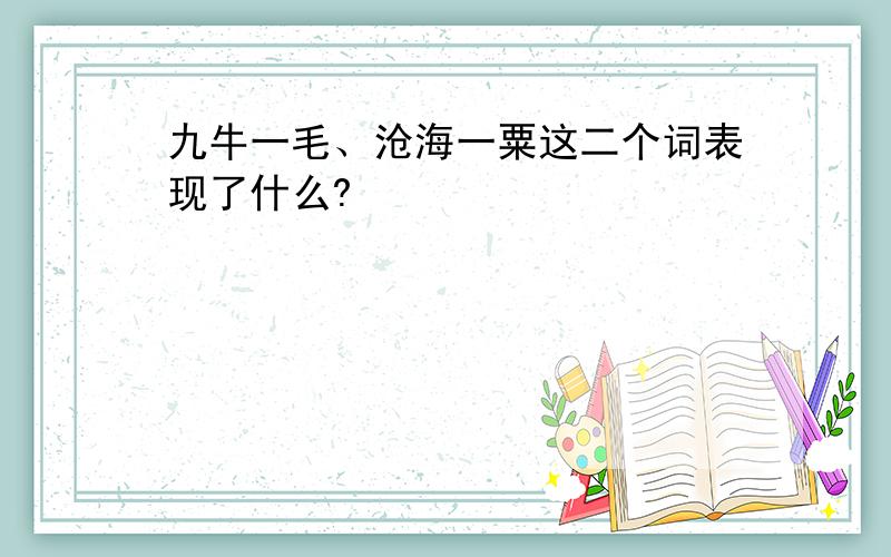 九牛一毛、沧海一粟这二个词表现了什么?