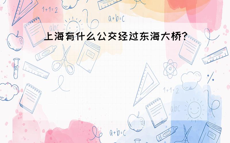 上海有什么公交经过东海大桥?