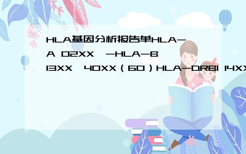 HLA基因分析报告单HLA-A 02XX,-HLA-B 13XX,40XX（60）HLA-DRB1 14XX,16XX 寻找各大医院合适的血和合适的骨髓!