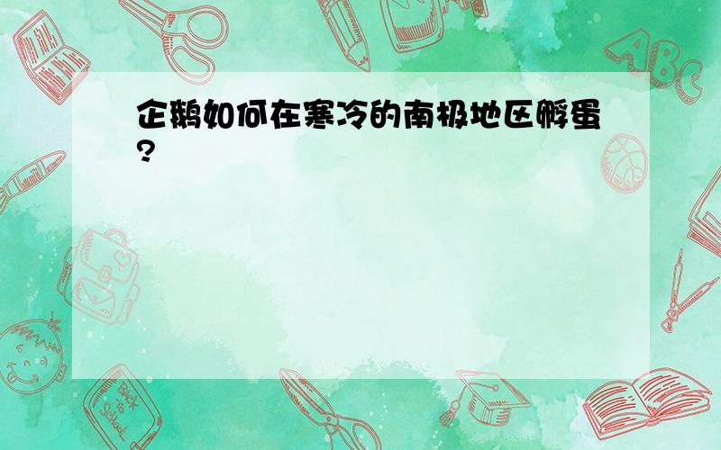 企鹅如何在寒冷的南极地区孵蛋?