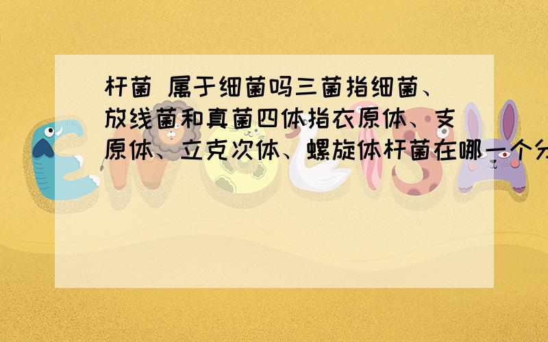 杆菌 属于细菌吗三菌指细菌、放线菌和真菌四体指衣原体、支原体、立克次体、螺旋体杆菌在哪一个分类？