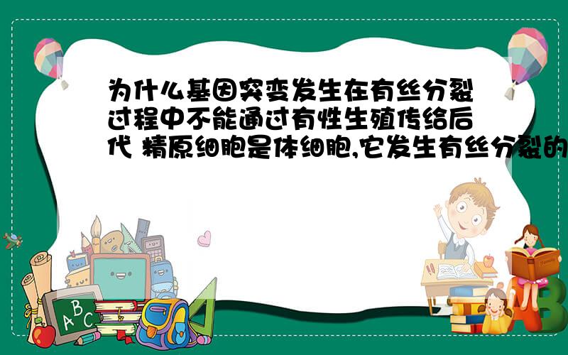 为什么基因突变发生在有丝分裂过程中不能通过有性生殖传给后代 精原细胞是体细胞,它发生有丝分裂的时候发生了基因突变,然后子代的精原细胞就带有突变的基因啊,减数分裂后不就含有突