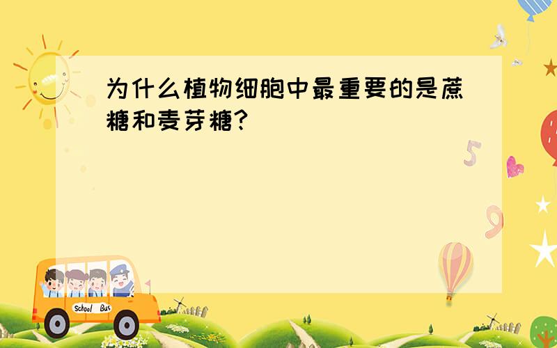 为什么植物细胞中最重要的是蔗糖和麦芽糖?