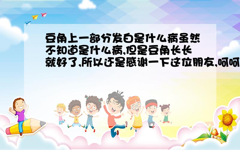 豆角上一部分发白是什么病虽然不知道是什么病,但是豆角长长就好了,所以还是感谢一下这位朋友,呵呵,给你了