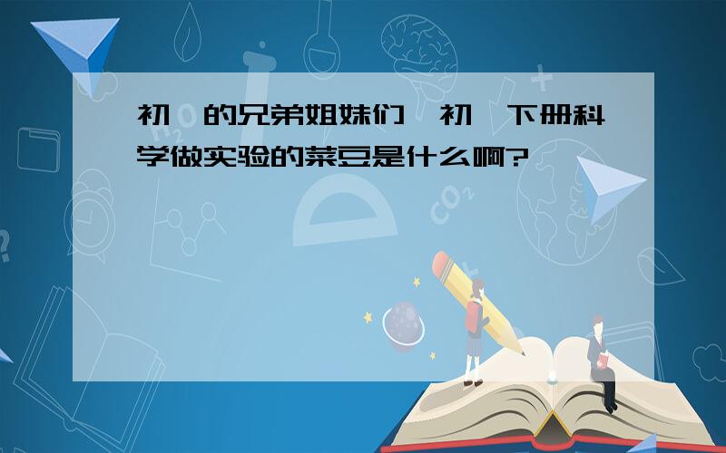 初一的兄弟姐妹们,初一下册科学做实验的菜豆是什么啊?