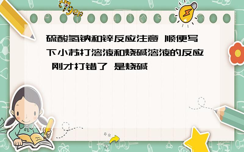 硫酸氢钠和锌反应注意 顺便写下小苏打溶液和烧碱溶液的反应 刚才打错了 是烧碱