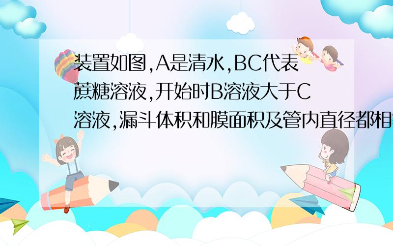 装置如图,A是清水,BC代表蔗糖溶液,开始时B溶液大于C溶液,漏斗体积和膜面积及管内直径都相等当液面不再上升时两溶液浓度的大小关系为： 答案是B>C 为什么