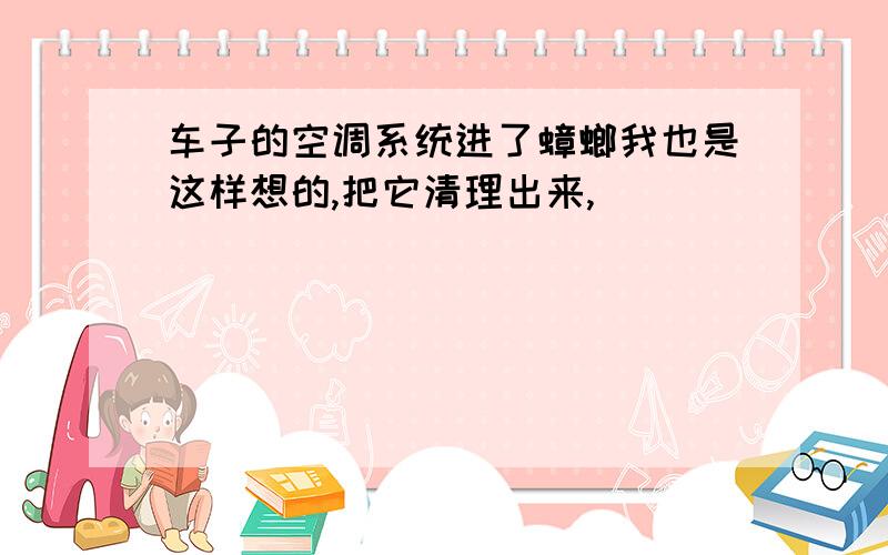 车子的空调系统进了蟑螂我也是这样想的,把它清理出来,