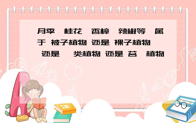 月季、桂花、香樟、辣椒等,属于 被子植物 还是 裸子植物 还是 蕨类植物 还是 苔藓植物