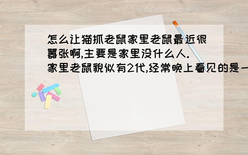 怎么让猫抓老鼠家里老鼠最近很嚣张啊,主要是家里没什么人.家里老鼠貌似有2代,经常晚上看见的是一些很小的老鼠在家里逛,应该有大的.我们家老鼠估计没见过猫,应该不怕猫.连人都不怕,晚